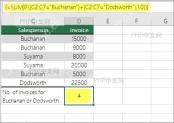 在 Excel 中用 COUNTIF 按文本条件快速计数