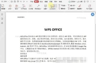 PDF如何文档中高亮区域?入口位置