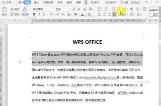 WPS如何设置文档双行合一?中间操作