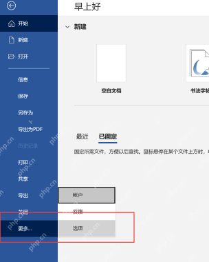 Word 文件后台页面中打开更多并点击选项入口