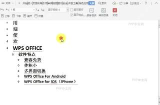 在文档大纲视图中如何显示对应项目级别的内容?设置效果