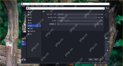 OBS Studio怎么设置录制帧率
