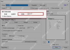 Adobe Acrobat 打印窗口中在页码框输入 2,5-7 的步骤界面