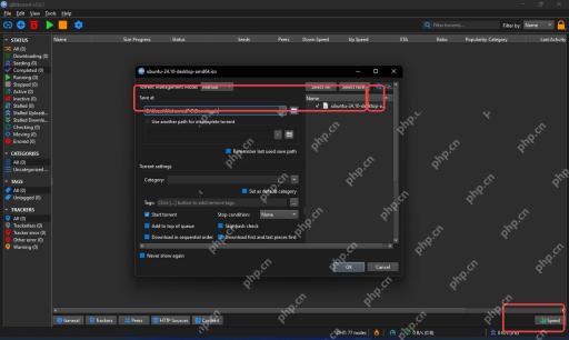 qBittorrent 添加任务窗口中的 Save at 保存路径