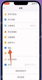 支付宝设置页面中的隐私入口