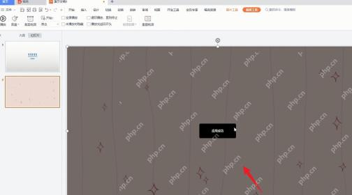 PPT中视频插入成功后显示视频工具和视频画面