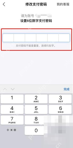支付宝中文界面：设置6位数字支付密码，对应步骤：验证通过后，会进入新的支付密码输入页。按页面要求重新设置 6 位数字密码即可。