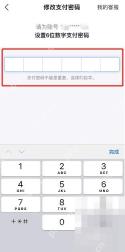 支付宝中文界面：设置6位数字支付密码，对应步骤：验证通过后，会进入新的支付密码输入页。按页面要求重新设置 6 位数字密码即可。