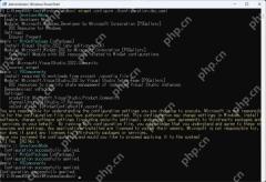 Win11 PowerShell 运行 winget configure configuration.dsc.yaml 并应用开发环境资源