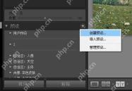 Lightroom Classic Windows 预设面板加号菜单中显示创建预设选项