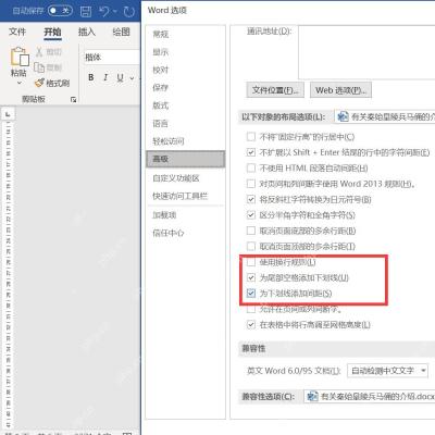 Word 选项高级设置中为尾部空格添加下划线和为下划线添加间距选项