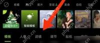 醒图滤镜分类入口