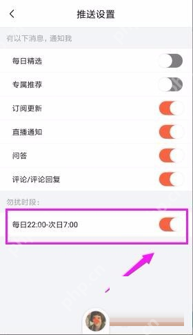 喜马拉雅中文手机界面:推送设置页面的勿扰时段开关