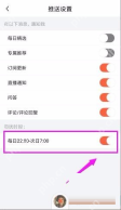 喜马拉雅中文手机界面：推送设置页面的勿扰时段开关