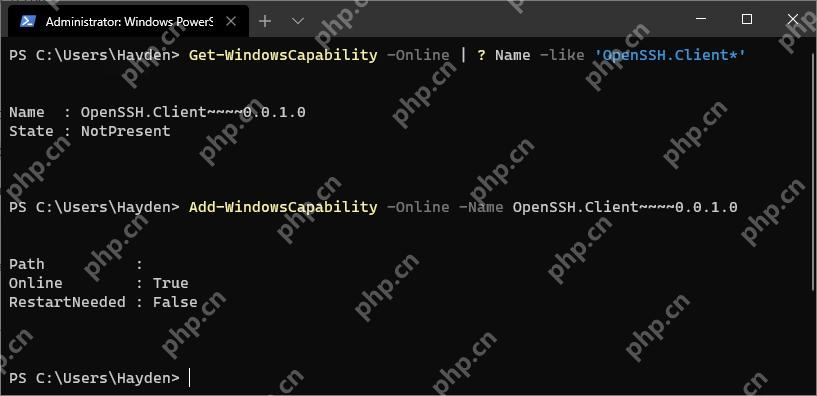 Win11 管理员 PowerShell 查看按需功能状态