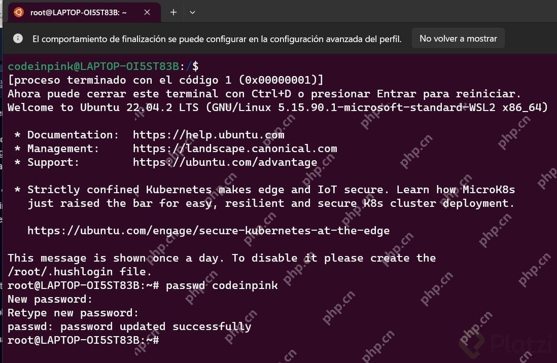 Ubuntu WSL 的 root 终端执行 passwd 并显示密码更新成功
