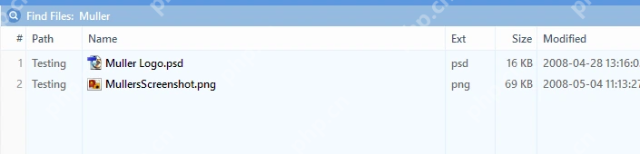 XYplorer Search Results 列表保留路径和名称列