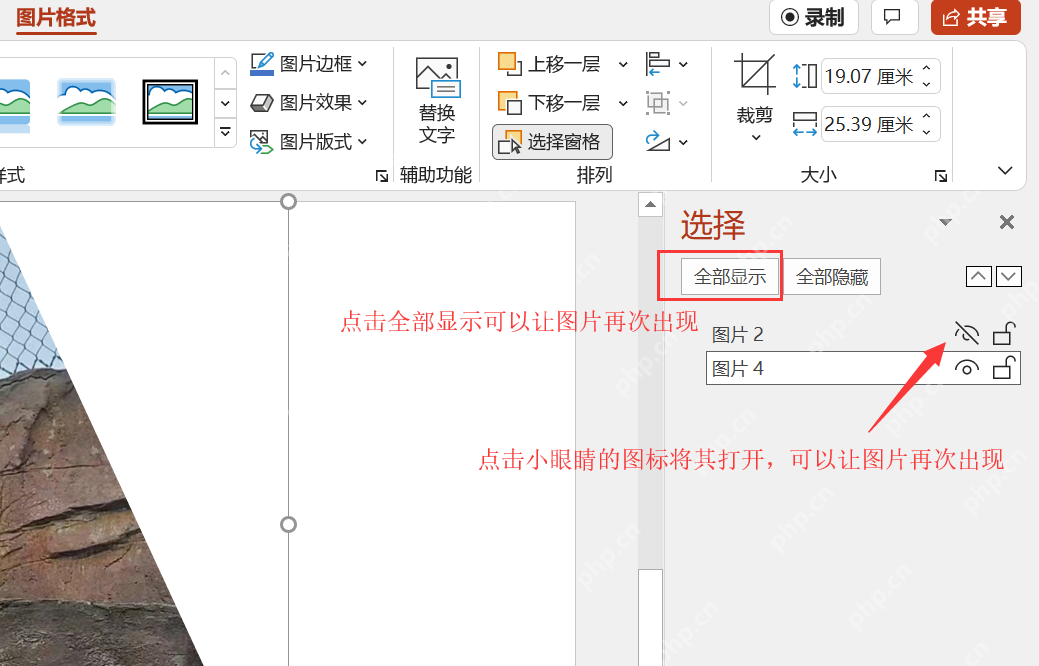 在选择窗格中点击小眼睛隐藏PPT图片
