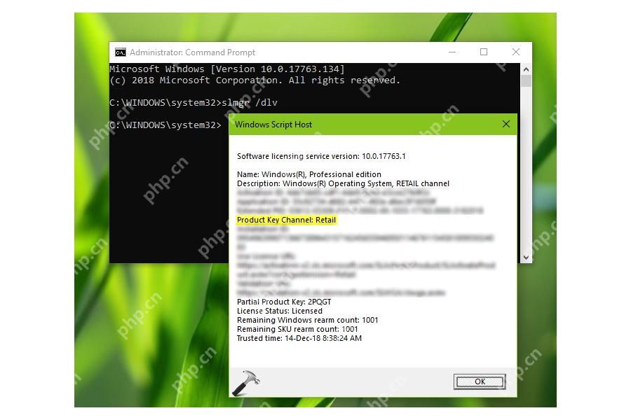 Win10 运行 slmgr dlv 后弹出 Windows Script Host 许可证窗口