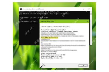 Win10 运行 slmgr dlv 后弹出 Windows Script Host 许可证窗口