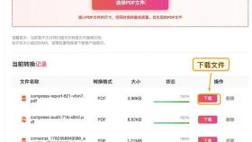 下载压缩后的PDF文件