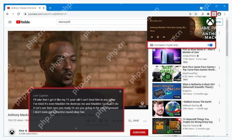 Chrome 网页播放视频后出现的实时字幕浮窗