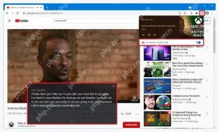 Chrome 网页播放视频后出现的实时字幕浮窗