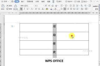 WPS如何给文档内容添加边框?结果检查