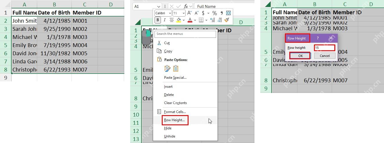 Excel 格式菜单中设置行高并找到自动调整行高入口