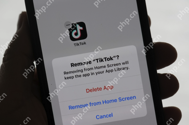 tiktok短视频网站 免费看欧美大片tiktok网站入口 - php中文网
