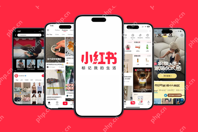 小红书直播回放无法下载 如何处理权限问题？ - php中文网