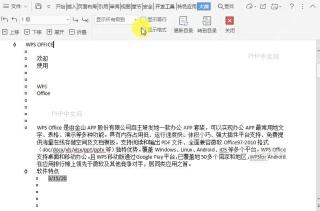 在文档大纲视图中如何显示所有文字内容的格式?设置效果