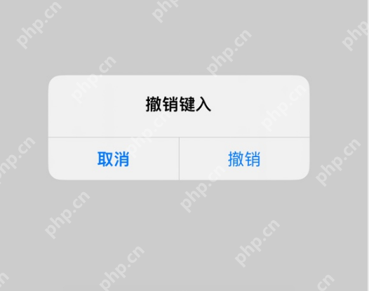 iPhone弹出撤销键入确认提示