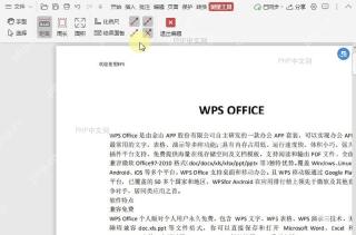 PDF如何开启/关闭PDF测量工具中的“吸附路径”？结果检查