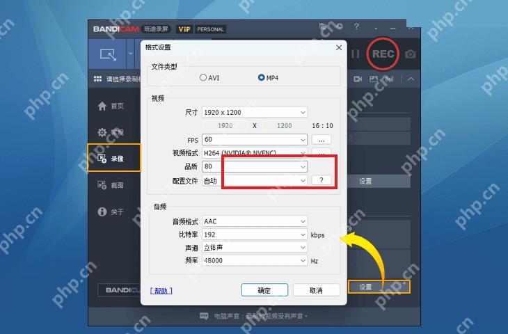 Bandicam 格式设置窗口高亮 FPS 数值选项
