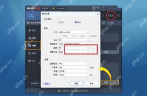 Bandicam 格式设置窗口高亮 FPS 数值选项