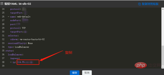 Configure SLB independent IP for Pagoda virtual machine