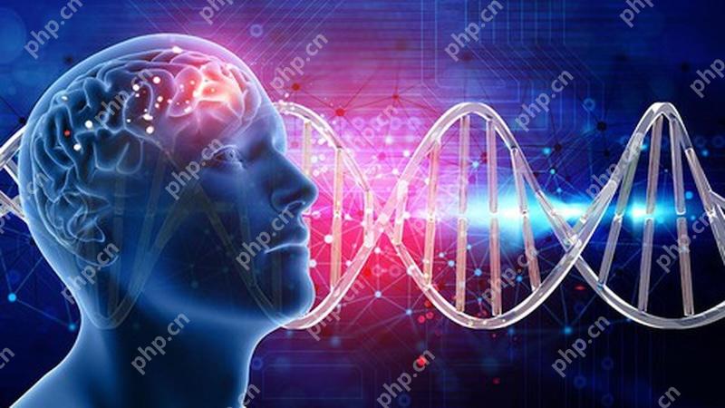 多模态AI需要联网实时处理吗 在线与本地运行的差异说明 - php中文网