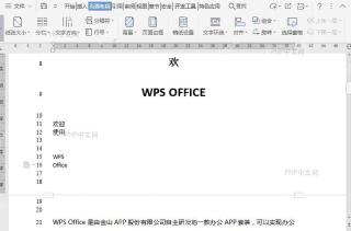 设置文档行号时如何在空行不显示？