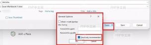 Excel 另存为窗口中 Tools 菜单和 General Options 入口