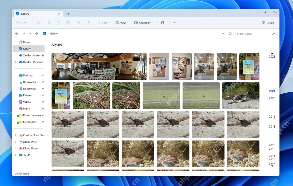 Win11怎么使用资源管理器图库查看照片：按时间和缩略图查看照片