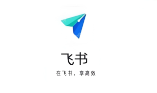 飞书移动端上传文件失败是什么原因 飞书手机传文件出错如何处理 - php中文网