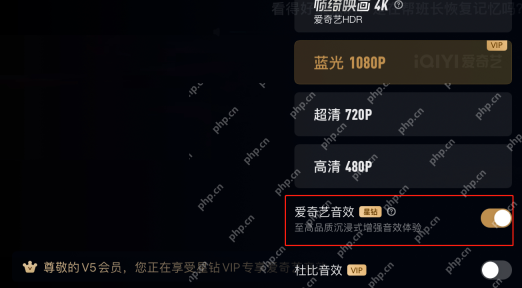 爱奇艺手机播放器画质面板中的1080P、720P和480P固定档位