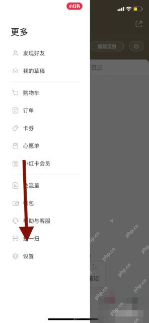 小红书侧边栏设置入口,用于进入视频自动播放相关设置