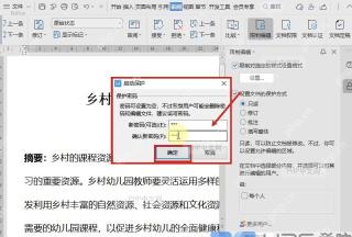 WPS 启动保护窗口中输入并确认保护密码