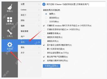CCleaner Windows 电脑端 Advanced 页面中的 Enable Windows Jump List Tasks 和 File list 选项