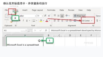在 Excel 开始选项卡确认自动换行入口