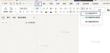显示段落标记步骤:勾选‘显示/隐藏段落标记’按钮,文档中出现手动换行符符号