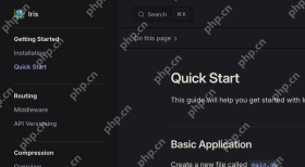 Iris 示例和学习资料保持更新：Quick Start、Examples 与 FAQ 组成评估入口