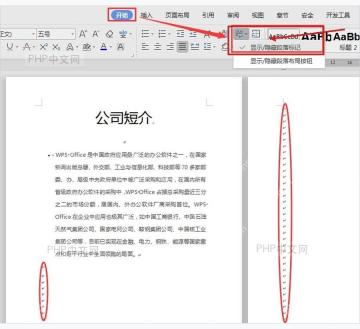 WPS 文字开始选项卡中打开显示隐藏编辑标记